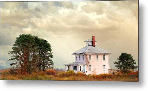 The Pink House Metal Print featuring the photograph The Pink House by Karen Lynch