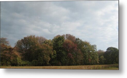 Trees Metal Print featuring the photograph Trees Under An Autumn Sky by Melissa McCrann