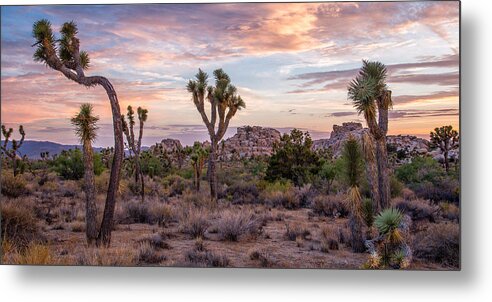 Big Sky Metal Print featuring the photograph Twilight comes to Joshua Tree by Peter Tellone