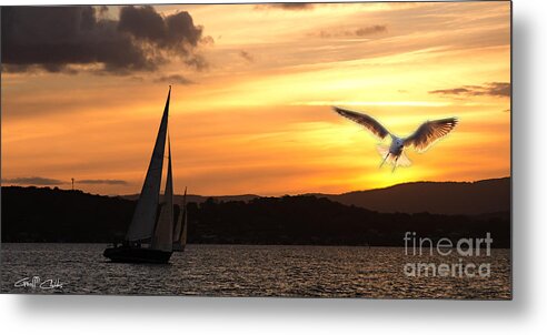 Yacht Metal Print featuring the photograph Yacht and Seagull Sunset by Geoff Childs