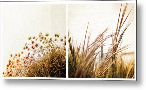 Diptych Metal Print featuring the photograph Adagio Diptych by Dorit Fuhg