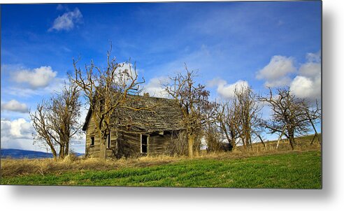 Pioneers Metal Print featuring the photograph The Old Farm House by Steve McKinzie