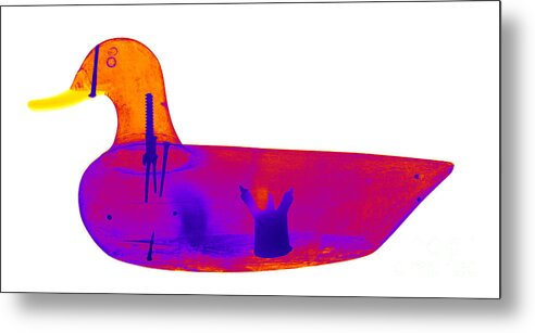 X-ray Metal Print featuring the photograph Wooden Duck Decoy by Ted Kinsman