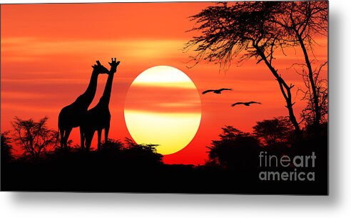 Giraffes Metal Print featuring the photograph Giraffes at sunset #1 by Warren Photographic