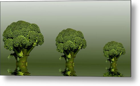 Broccoli Metal Print featuring the photograph Broccoli Green Veg #2 by David French