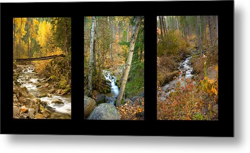 Trio Metal Print featuring the photograph Autumn Streams Trio by Idaho Scenic Images Linda Lantzy