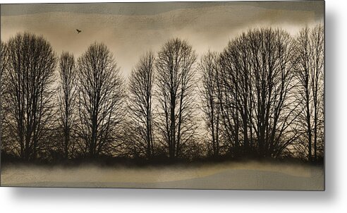 Trees Metal Print featuring the photograph Bare Bones by Robin-Lee Vieira