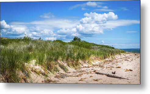 Landscape Metal Print featuring the photograph Beach by Lester Plank