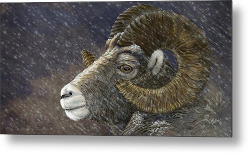 Bighorn Sheep Metal Print featuring the painting Big Horn In Snowstorm by Kathie Miller