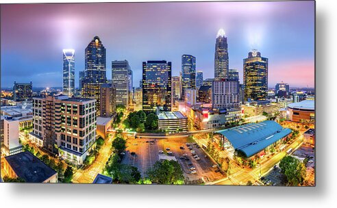 Charlotte Metal Print featuring the photograph Charlotte by Mihai Andritoiu