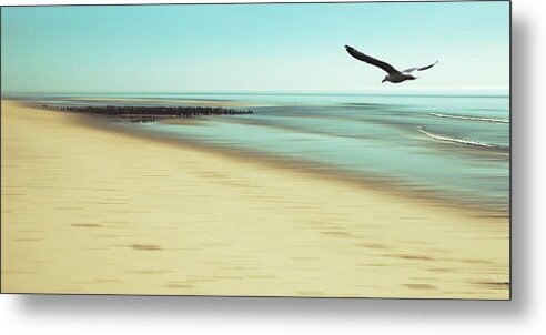 Seagull Metal Print featuring the photograph Desire by Hannes Cmarits