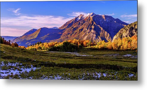 Fall Meadow Metal Print featuring the photograph Fall Meadow by Chad Dutson