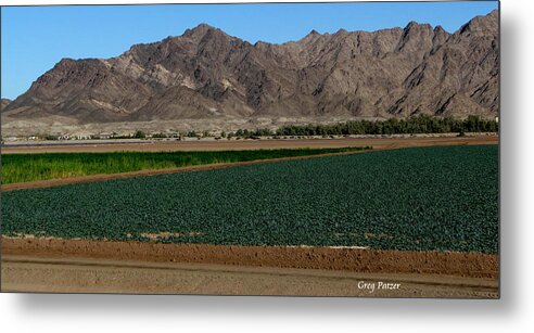 Patzer Metal Print featuring the photograph Fields of Yuma by Greg Patzer