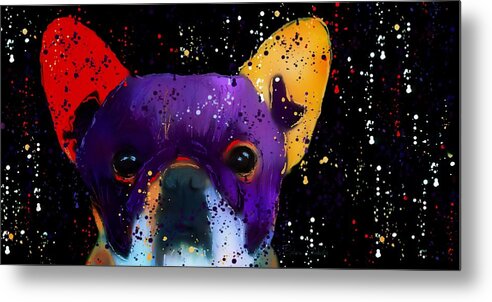 French Bulldog Metal Print featuring the photograph Frenchie Splash n Pop by Barbara Chichester