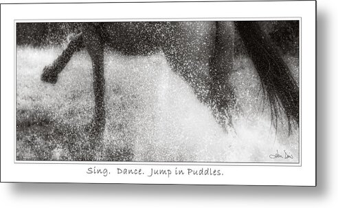 Elkton Metal Print featuring the photograph Jump In Puddles by Joan Davis