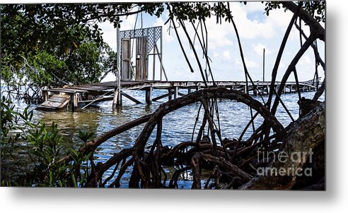 Ambergris Caye Metal Print featuring the photograph Lurking in the Shadows by Lawrence Burry