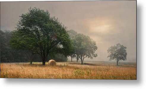 Fog Metal Print featuring the photograph Misty Fields by Robin-Lee Vieira