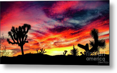 Landscape Metal Print featuring the photograph Mojave Sunset by Adam Morsa