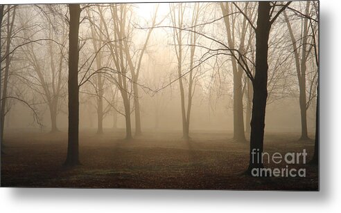 Morning Fog Metal Print featuring the photograph Morning Fog 2 4445 by Jack Schultz