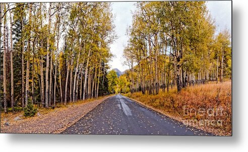 Estes Metal Print featuring the photograph Old Fall River Road with Changing Aspens - Rocky Mountain National Park - Estes Park Colorado by Silvio Ligutti