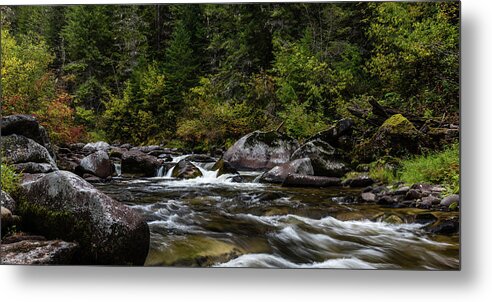 Nature Metal Print featuring the photograph Oregon Art by Gary Migues