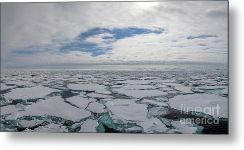 Arctic Metal Print featuring the photograph Pack Ice by Brian Kamprath