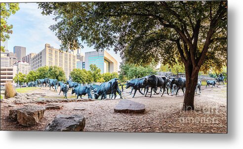 Downtown Metal Print featuring the photograph Panorama of Cattle Drive at Pioneer Plaza in Downtown Dallas - North Texas by Silvio Ligutti