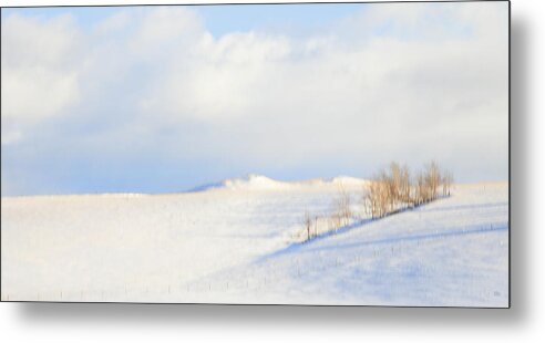 Minimalism Metal Print featuring the photograph Simply Snow Landscape by Theresa Tahara