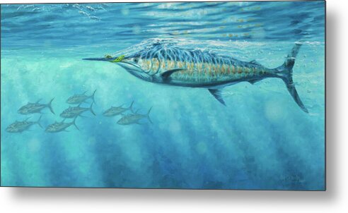 Blue Marlin Paintings Metal Print featuring the painting Snapping the Teaser by Guy Crittenden