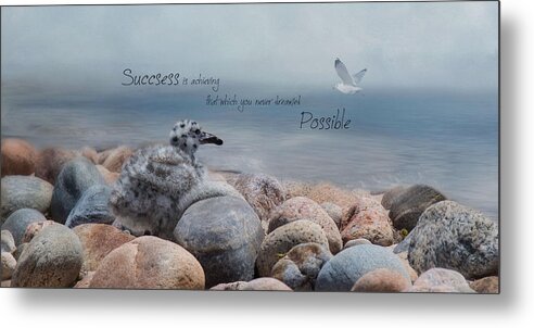 Seagull Metal Print featuring the photograph Success by Robin-Lee Vieira