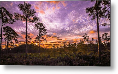 Jonathan Dickinson State Park Metal Print featuring the photograph Sunrise in JD by Christopher Perez