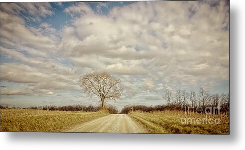 Southern Metal Print featuring the photograph Take Me Home by Diane Enright