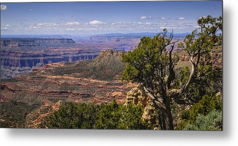 Grand Canyon Metal Print featuring the photograph The Other Side by Steve L'Italien