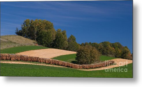 Virginia Metal Print featuring the photograph Virginia Tobacco Farm by T Lowry Wilson