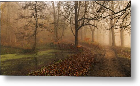 Landscape Metal Print featuring the photograph Which Path II by Leif L?ndal