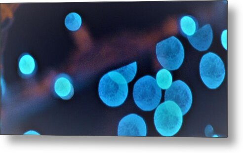 Snow Metal Print featuring the photograph Winter Lights by John Glass