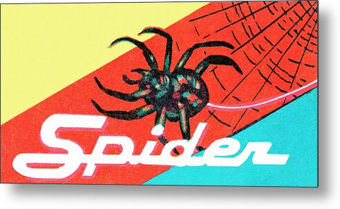 Animal Metal Print featuring the drawing Spider #2 by CSA Images