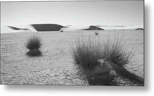 Richard E. Porter Metal Print featuring the photograph Clinging to Life - White Sands National Monument, New Mexico by Richard Porter