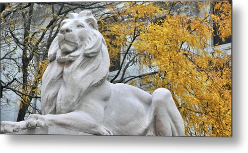 1911 Metal Print featuring the photograph Library Lion by JAMART Photography