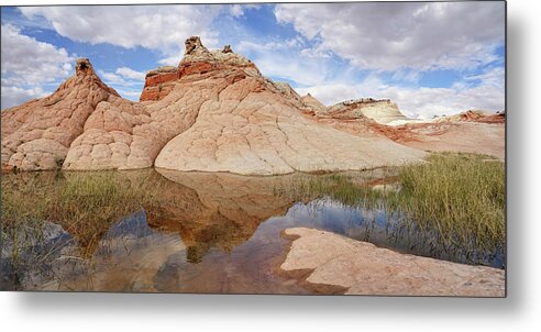 White Pocket Metal Print featuring the photograph Nature's Construction by Leda Robertson