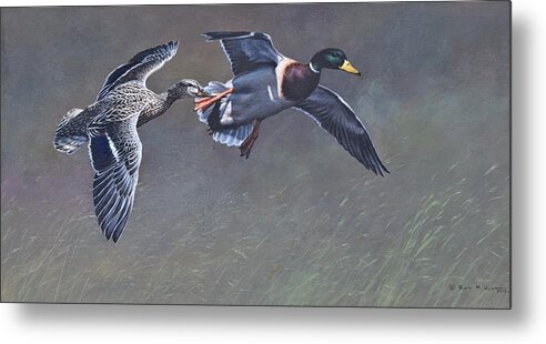 Wildlife Paintings Metal Print featuring the painting Pair of Mallards Ducks by Alan M Hunt