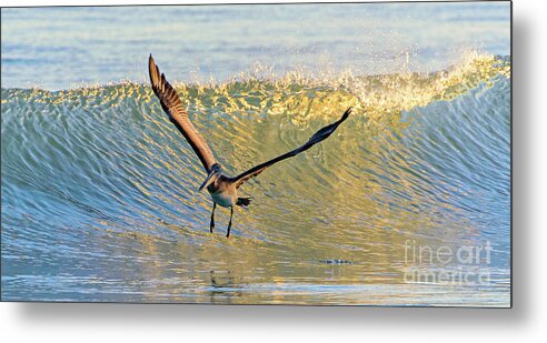 Sunset Metal Print featuring the photograph Riding the waves by DJA Images
