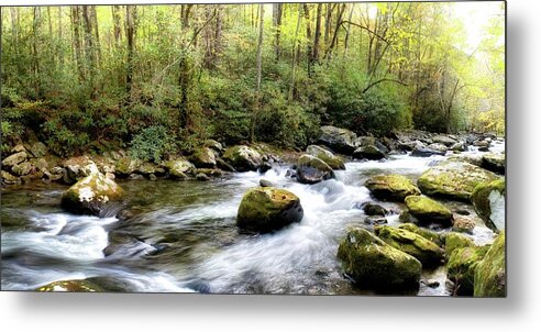 Wag Public Metal Print featuring the painting Riverside Panorama by Danny Head