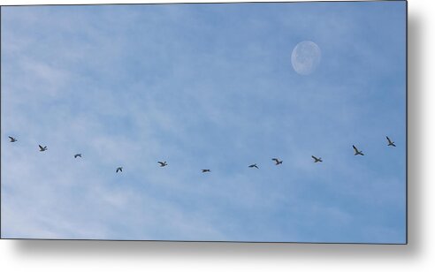 Moon Metal Print featuring the photograph Fly Me To The Moon #1 by Darren White