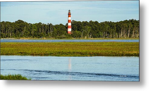 Lighthouse Metal Print featuring the photograph Assateague Lighthouse by Dale R Carlson