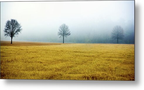 Winter Metal Print featuring the photograph Bare Trees on Golden Grass by WAZgriffin Digital