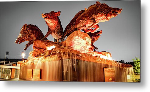 Hogs Panorama Metal Print featuring the photograph Fountain Of Wild Razorbacks Panorama - Fayetteville Arkansas by Gregory Ballos