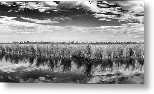Big Cypress National Preserve Metal Print featuring the photograph Grassland Big Cypress by Rudy Wilms