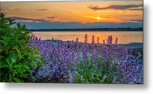 Oswego Ny Sunset Metal Print featuring the photograph Harbor Walk Sunset Pano by Rod Best