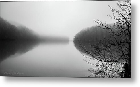 Black And White Metal Print featuring the photograph Lake In The Mist by Theresa D Williams
